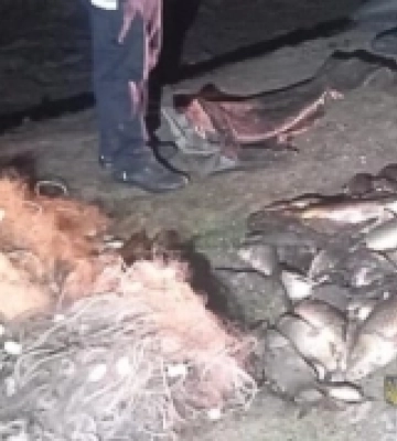 Житель Білгород-Дністровського району отримав вирок за браконьєрство у нацпарку «Тузлівські лимани»
