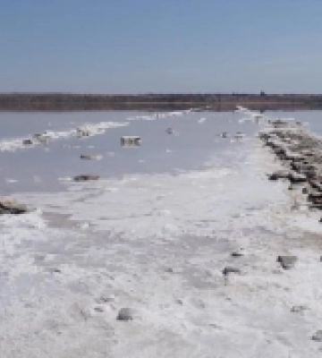 На Одещині лиман міліє та змінює колір води: у чому причина