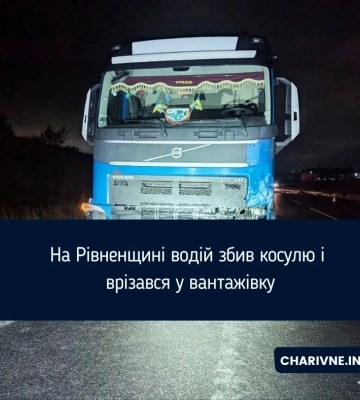 ДТП у Рівненському районі: Renault врізався у фуру після наїзду на косулю