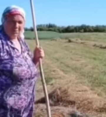На Волині п'яний водій втікав від патрульних і скоїв ДТП (ВІДЕО)