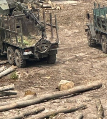 Повідомлено про підозри 13 працівникам Ліси України та ЛІАЦ
