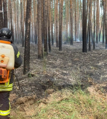 Из-за вражеского удара по пригороду Харькова вспыхнул пожар, пострадали три человека
