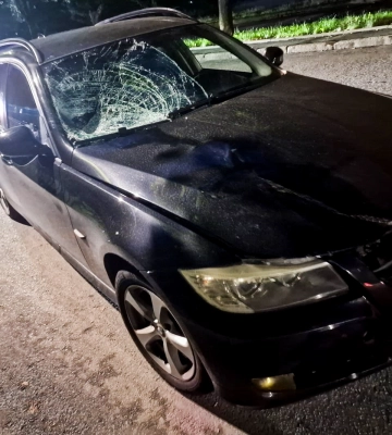У Рівному обрано запобіжний захід водію, який вчинив смертельний наїзд на жінку та собаку. ФОТО