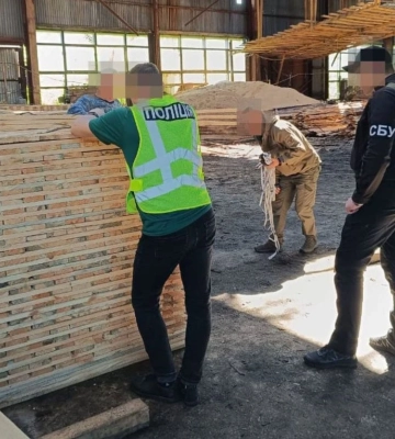 На Житомирщині викрито посадовців лісової галузі, які завдали майже ₴23 млн збитків державі