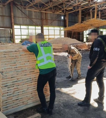 На Житомирщині викрито посадовців лісової галузі, які завдали майже ₴23 млн збитків державі