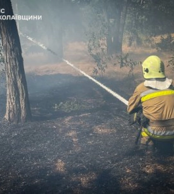 30 липня та в ніч проти 31 на Миколаївщині виникло 22 пожежі