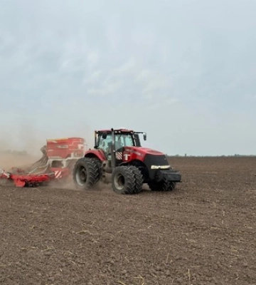 Посівна озимого ріпаку стартувала в «АГРОТРЕЙД»