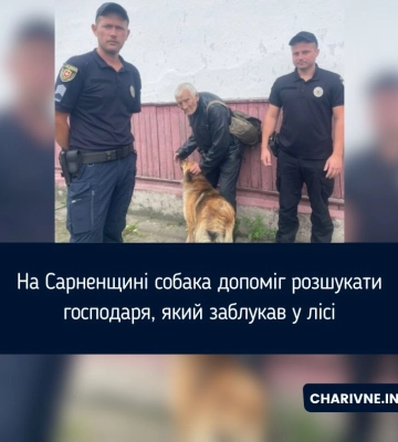 На Рівненщині завдяки собаці вдалося розшукати пенсіонера, який заблукав у лісі