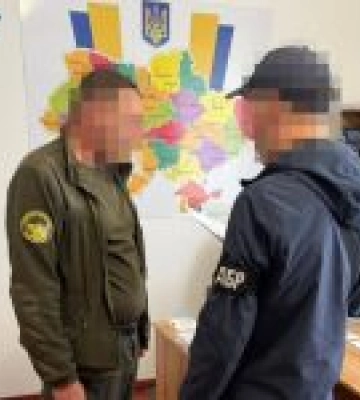 На Житомирщині викрито посадовців лісової галузі, які незаконно нарізали дерев на 23 млн грн