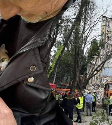 Спасатели достали из-под завалов котиков: щемящие кадры с места кровавого удара России