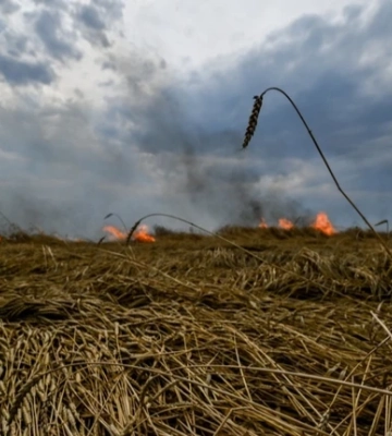 Через російські обстріли у Запорізькій області знищено майже 700 гектарів збіжжя: місцеві аграрії продовжують роботу в умовах&amp;hellip;