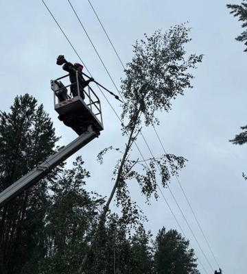 Непогода в Киевской области: энергетики вернули свет для 350 тысяч семей