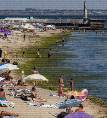 В Одесі після шторму пляжі вкрилися зеленим килимом з водоростей, відео