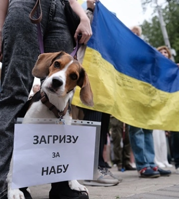 После пинка. Рада вернула независимость НАБУ