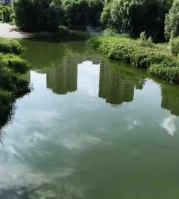 У Києві комунальники за допомогою нового методу обробили озеро Жандарка  (відео)