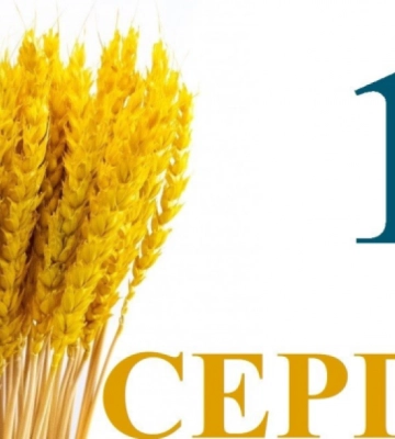 Ліки, штрафи, відстрочки: Яких змін з 1 серпня очікувати жителям Рівненщини