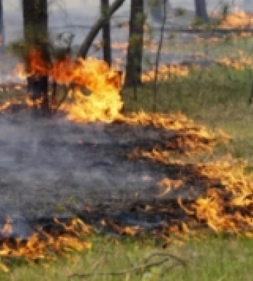 На Рівненщині з початку року сталося понад 1700 пожеж