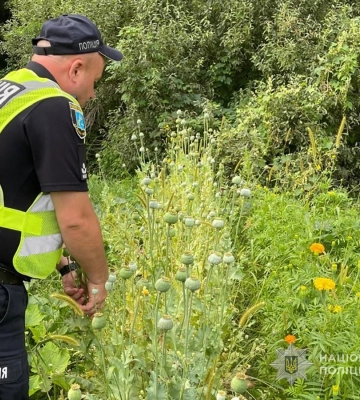 Поліція Сумщини викрила наркоплантацію та ще й знайшла в організатора боєприпаси. ФОТО Поліція Сумщини викрила наркоплантацію та ще й знайшла в організатора боєприпаси. ФОТО