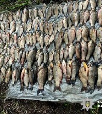 На Полтавщині чоловік наловив риби на понад 370 тисяч гривень