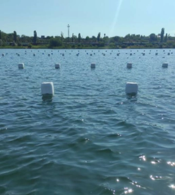 Що виявили науковці під час дослідження водних біоресурсів водойм на Одещині