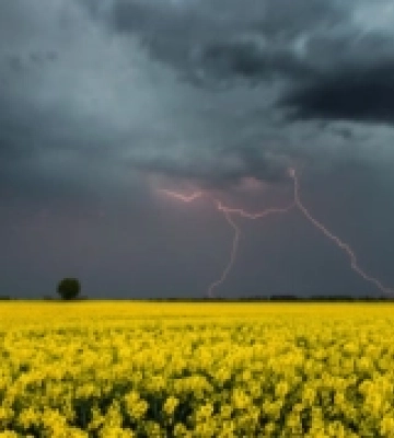 Жовтий рівень небезпечності: на Волині очікують грозу
