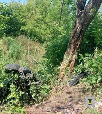 Біля Умані п’яний водій вилетів у кювет та врізався у дерево (ФОТО)