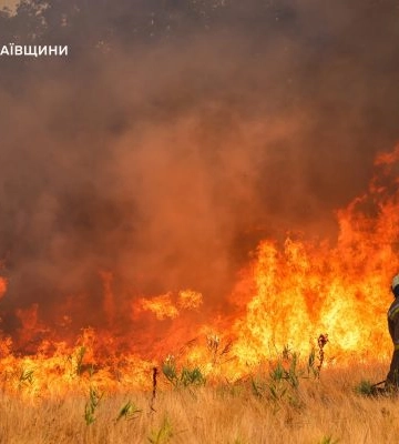 На Миколаївщині знову горів ліс