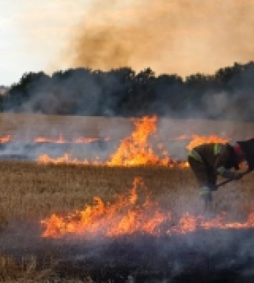 На Миколаївщині вогнеборці ліквідували пожежа в Андріївському лісовому урочищі