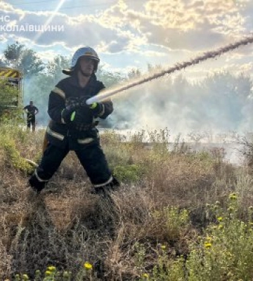 Аномальна спека й відсутність дощів спричинили 45 пожеж за добу на Миколаївщині