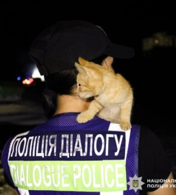 У Миколаєві поліцейські документують наслідки ворожого удару по місту