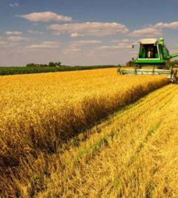 На Полтавщині зібрали понад 1,5 мільйона тонн зернових