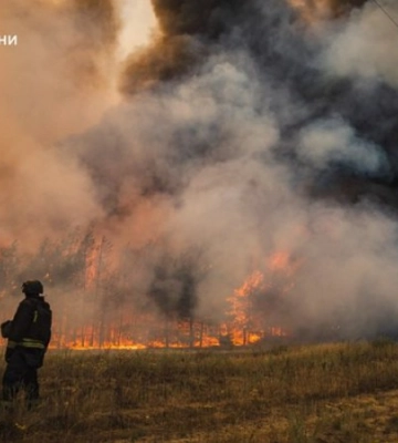 На Донеччині ліквідували масштабну лісову пожежу