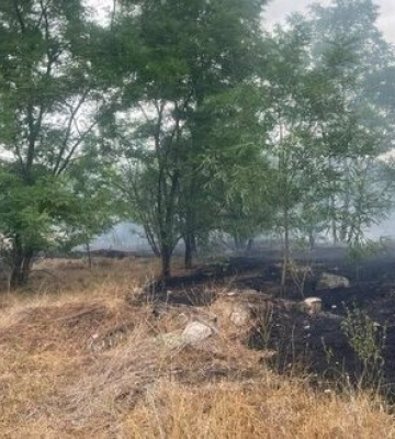 Протягом дня російські війська били по Дніпропетровщині понад 20 разів, - ОВА. ФОТОрепортаж