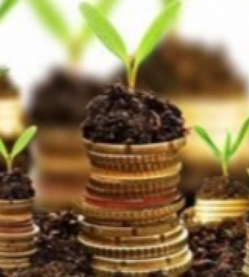 Півтисячі аграріїв Рівненщини отримають понад 30 мільйонів від держави