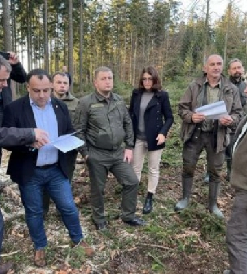 Делегація Закарпатської облради домовилася про чіткі кроки співпраці з Чехією у лісовій галузі