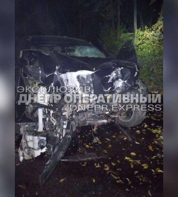На в&amp;#039;їзді у Дніпро Hyundai врізався у електроопору: постраждав водій