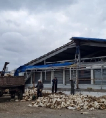 Окупанти знищили на Донеччині підприємство, яке виробляло пів мільйона яєць щодня