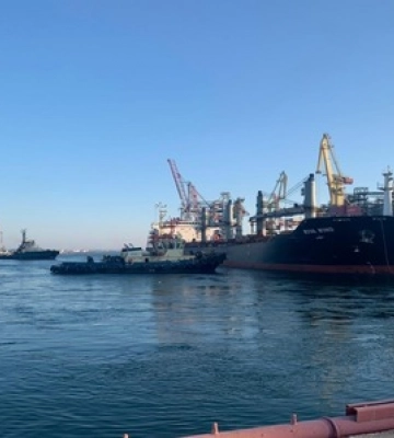З українських портів вийшли 12 суден, попри відмову росії від зернової угоди