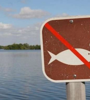 В Україні вводять обмеження на риболовлю