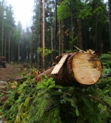 На Львівщині вантажівку порушників конфіскували та передадуть на потреби ЗСУ