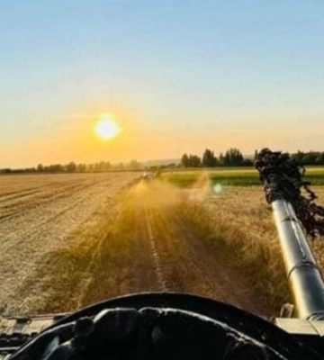 На Луганщині звільнено вже дев’ять населених пунктів — Гайдай