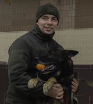 Волонтери допомагають врятованим службовим собакам швидше відновити свої навички