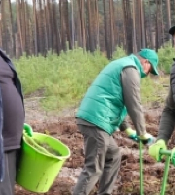 На Волині депутати і керівники, військові і лісівники садили ліс