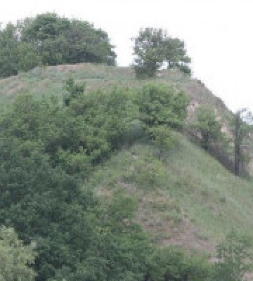 На Лисій горі, де планують створити військове меморіальне кладовище, раніше ховали злочинців, - природоохоронці