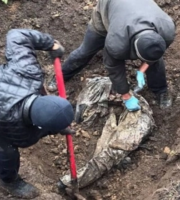 У селі на Харківщині виявили масове поховання бійців ЗСУ