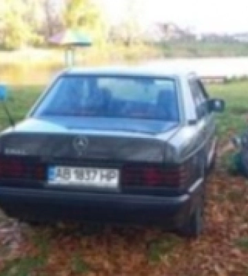 У Луцьку оштрафували чоловіка, який мив авто в Теремнівському ставку