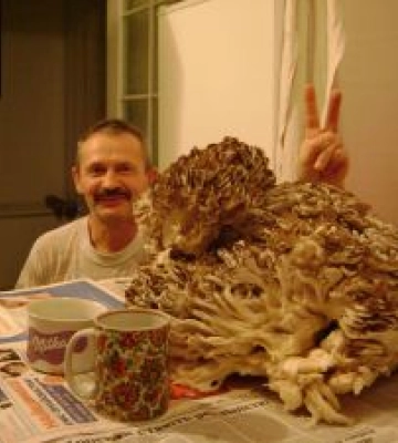 Грибники такого не пробачать