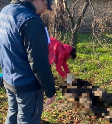 В освобожденном Высокополье нашли тела трех расстрелянных украинцев