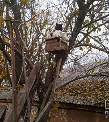 Погода у Кривому Розі 5 листопада