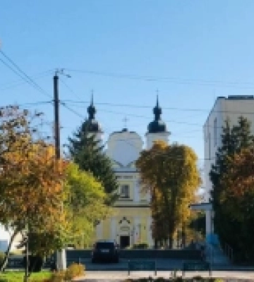 Нам є чим пишатися та цінувати: як виглядає найдавніша історична пам'ятка Дубровиччини